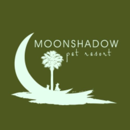 moonshadow